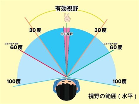 人的視野角度